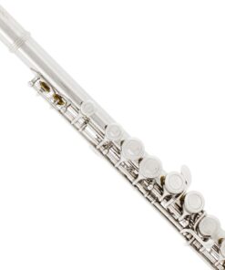 Mendini by Cecilio Premium Grade Silver Closed Hole C Flute with Stand, Book, Deluxe Case and Warranty, MFE-JS+SD+PB 11 71rVSqkklUL