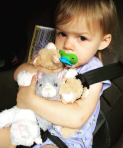 Plush Cat House with Cats - Five (5) Stuffed Animal Cats in Play Kitten House Carrying Case 19 71rVzUor9ML