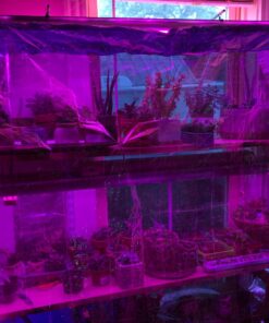 NAVAdeal 2 Pack Silver Highly Reflective Mylar Films, 82x 47Inch, Metallized Foil Covering Sheet, Garden Greenhouse Farming, Increase Plant Growth Save Power, Reduce Uneven Heat Environment Safe Pack of 2 32 71rWO euUSL