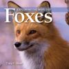 Exploring the World of Foxes 24 71rXVrYYVxL