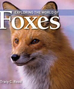 Exploring the World of Foxes