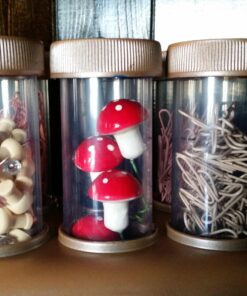 Learning Resources Measuring Tools, Jumbo Test Tubes (LER2788) 25 71rYjdxBuTL