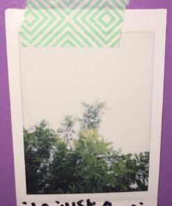 Fujifilm INSTAX Mini Instant Film Twin Pack (White) - International Version 20 Film Pack 35 71rcrfHGLZL