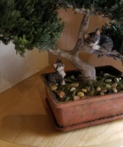 Artificial Japanese Cedar Bonsai Tree 9 inch Tall 21 71rdlxG90RL