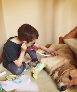 Fisher-Price Preschool Pretend Play Medical Kit 7-Piece Doctor Bag Dress Up Toys for Kids Ages 3+ Years Standard Packaging 29 71rfY90 LaL