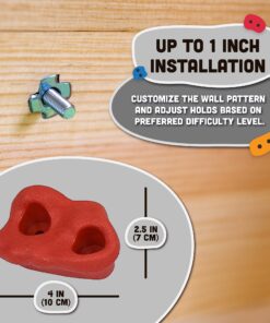Squirrel Products Kids Rock Climbing Holds Indoor & Outdoor Playground Accessories Rock Wall Climbing Kit with Mounting Hardware 20 Pack XL Deluxe 31 71ri0srzABS
