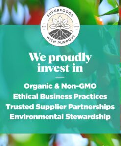 Navitas Organics Goji Berries, 16 oz. Bag, 15 Servings — Organic, Non-GMO, Sun-Dried, Sulfite-Free 1 Pound (Pack of 1) 17 71rl5eSfDML