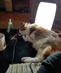 Aura Day Light Lamp, 10,000 Lux of Full Spectrum Bright Light with Adjustable Lux Dial and Timer- 100% UV Free{2 Year Warranty Includes Bulb and Lamp} 54 71rodvyhG L