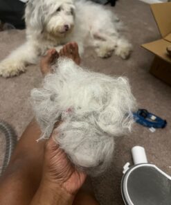 AIRROBO Dog Hair Vacuum & Dog Grooming Kit, 12000Pa Strong Pet Grooming Vacuum, 2L Large Capacity Dog Vacuum for Shedding Grooming Hair, Quiet, 5 Pet Grooming Tools, PG100 54 71rpLHNTgrL