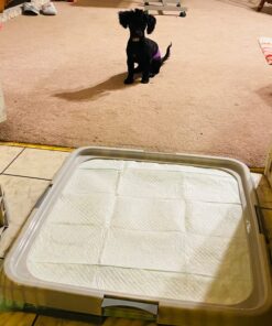 Dogit Dog and Puppy Pee Pad Holder, Puppy Training Pad Holder for Pee Pads, 70576 20 71rpTDfNw1L