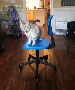 Office Chair Wheels Replacement Set 10mm (3/8" x 7/8") Stem - Fits IKEA Chairs ONLY - Soft Desk Chair Casters for Wood Floors & Carpet - Heavy Duty & Safe for All Floors Without Any Chair Mats 2. IKEA stem - for IKEA chairs ONLY 35 71rpfgbtOtL 1