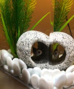 Penn-Plax Deco-Replicas Granite Aquarium Ornament & Hideaway – Realistic Stone Appearance – Safe for Freshwater and Saltwater Tanks – Small Size, White (RR1071) 40 71rpvYpscfL