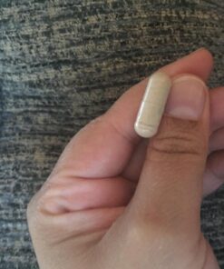 Garden of Life Prenatal Multivitamin for Women with Iron, Folate & Vitamin C and D3 for Neural Development & Probiotics for Immune Support – Vitamin Code – Non-GMO, Gluten-Free, Kosher, 30 Day Supply 90 Count (Pack of 1) 36 71rtfHlR8NL 1