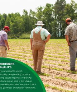 Hampton Farms - USA Grown All-Natural - Fancy Roasted In-Shell Unsalted Peanuts - 5 lb. Bag Basic pack 26 71rtxZvS9L