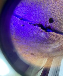 40X Full Metal Illuminated Jewelry Loop Magnifier, XYK Pocket Folding Magnifying Glass Jewelers Eye Loupe with LED(LED Currency Detecting/Jewelry Identifying) 1 43 71ruQdUfGQL