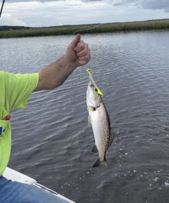 Ugly Stik GX2 Spinning Reel and Fishing Rod Combo 40 Size Reel - 6'6" - Medium Heavy - 1pc 38 71ry83U8ZTL