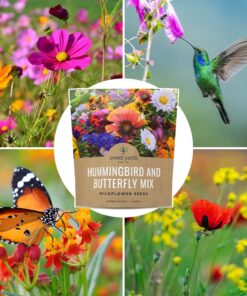 Wildflower Seeds Butterfly and Humming Bird Mix - Large 1 Ounce Packet 7,500+ Seeds - 23 Open Pollinated Annual and Perennial Species 1 Ounce Pouch 36 71ryfmMx4KL