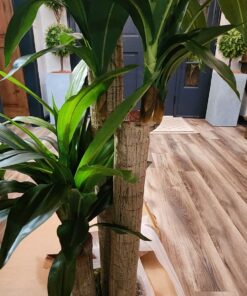 Nearly Natural - 6584 62in. Corn Stalk Dracaena Silk Plant (Real Touch), 24" x 28" x 62", Green artificial plant 43 71s2X0PVDVL