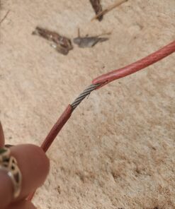 BV Dog Tie Out Cable 30 Feet - Dog Leads for Yard Heavy Duty - Up to 125 Pounds | Tie Out Cable for Dogs, Reflective Dog Lead, Dog Cable 30ft | Rust Free Dog Chain Outdoor | Dog Chain for Yard (Red) 125lbs/ 30ft/ Red 31 71s2y2TTJL