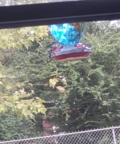 Perky-Pet Hummingbird Liquid Nectar Concentrate - 32 oz Concentrate - Makes 128 oz of Hummingbird Food Nectar Suet 32 Fl Oz (Pack of 1) 21 71s3EXM2 L