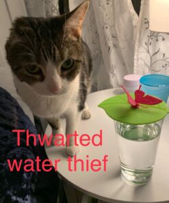 Silicone Cup Lids - Creative Butterfly Mug Cover From ME.FAN - Anti-dust Airtight Seal Silicone Drink Cup Lids - Hot Cup Lids 6 Set In Bright Colors 6 Set-Butterfly 57 71s3ZhsIgSL