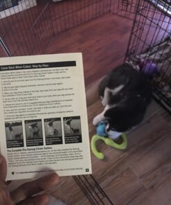 Starmark Pro-Training Clicker for Dogs 1 Count 31 71s4J1zKRqL