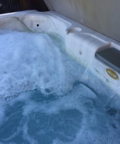 SeaKlear Spa System Flush, 1 Pint Bottle 22 71s81kDlWgL