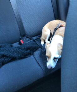 Portable Blender, Personal Blender for Shakes and Smoothies, 200W Small Blender USB Rechargeable/ 2X MORE POWERFUL Than Most Mini Travel Blender/Crushes ice,Fresh Juice Leegoal Blender Bravo(1st Gen) 14 71sF7p1rFL