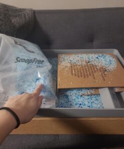 PetSafe Official ScoopFree Complete Reusable Tray - Includes 4.3 lb of Premium Blue Crystal Litter - Compatible with All ScoopFree Complete Automatic Self Cleaning Litter Box System 25 71sGxR3d2gL