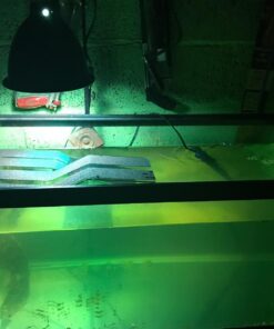 OASIS #64226 Turtle Ramp - Large 16-Inch by 11-Inch by 4-1/2-Inch, Black 57 71sHDHIZOAL