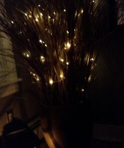 RTGS 60 LEDs String Lights Battery Operated on 20 Feet Long Silver Color Wire, Indoor and Outdoor with Waterproof Battery Box and Timer (Warm White) Warm White 33 71sIk5YdT5L