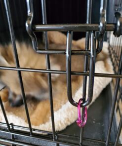 MidWest Homes for Pets Newly Enhanced Double Door iCrate Dog Crate, Includes Leak-Proof Pan, Floor Protecting Feet, Divider Panel & New Patented Features, Black X-Small 48 71sMh2d4DsL 1