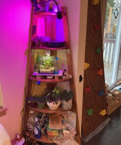 Marina CUBUS Glass Betta Kit – Elegant Glass Aquarium for Homes or Offices 40 71sNQZZhDL