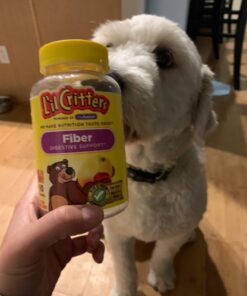 L’il Critters Fiber Daily Gummy Supplement for Kids, for Digestive Support, Berry and Lemon Flavors, 90 Gummies 90 Count (Pack of 1) 31 71sOmaDIeyL