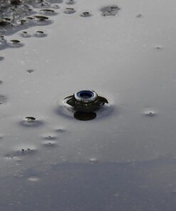 Nikon COOLPIX P900 Digital Camera (Black) 122 71sQN3ZO ML