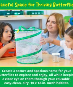 Painted Lady Butterfly Kit - Habitat, STEM Journal, & Voucher for Chrysalis Log & Caterpillars - Grow Your Own Butterfly Kit 34 71sV8iMWWHL