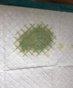 Simple Solution Extra Large Training Puppy Pads - 3 in 1 Attractant - Absorbs Up to & Cups of Liquid - 28x30in - 50 Count 50 ct 25 71sWkDLEJL