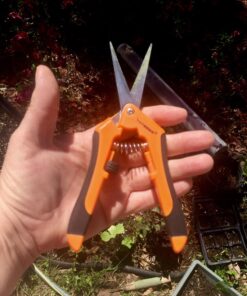 VIVOSUN 6.5 Inch Gardening Scissors Hand Pruner Pruning Shear with Straight Stainless Steel Blades Orange 1-Pack Straight Blade 39 71sXHyB30ML