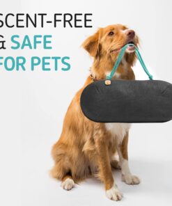 PURGGO Car Air Freshener - Lasts 365+ Days No Chemicals 100% Activated Bamboo Charcoal Fragrance-Free Deodorizer, Natural Auto Odor Eliminator, Purifier, Neutralizer, Absorb Smoke Smell 1 Count (Pack of 1) 40 71sY9jH1AfL