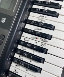 Piano and Keyboard Music Note Full Set Stickers for White and Black Keys; Transparent and Removable; Made in USA 48 71sYq21ib3L