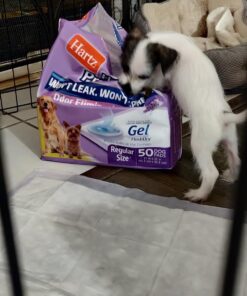 Hartz Home Protection Lavender Scented Dog Pads, 50 count, Super Absorbent & Won't Leak, Odor Eliminating 21 x 21 (50 count) 38 71sZ PGSa3L 2