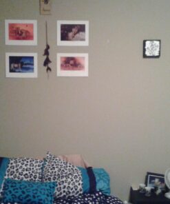 Mi Zone Comforter Set Fun Bedroom Décor - Modern All Season Polka Dot Print, Vibrant Color Cozy Bedding Layer, Matching Sham, Decorative Pillow, Full/Queen, Leopard Teal 4 Piece 36 71sZNrDb9cL