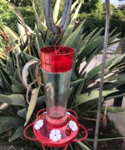 Skinny Ant Moat with Guard for Hummingbird Feeders - Gets Rid of Ants Fast in Nectar Feeder. All Natural & No Chemicals Needed. 35 71sc7fFnIL