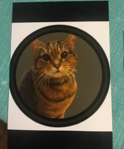 Canon PIXMA TS6220 Wireless All In One Photo Printer with Copier, Scanner and Mobile Printing, Black, Works with Alexa 48 71se3jxtmAL