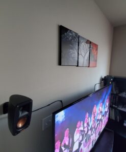 14AWG Speaker Wire, GearIT Pro Series 14 AWG Gauge Speaker Wire Cable (100 Feet / 30.48 Meters) Great Use for Home Theater Speakers and Car Speakers Black 100 Feet 59 71setydY6sL