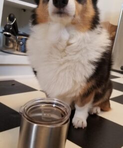 YETI Rambler 10 oz Lowball, Vacuum Insulated, Stainless Steel with Standard Lid 19 71sfzRFp4iL