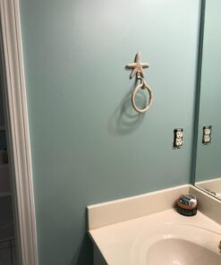 Park Designs Starfish Ring Hook 35 71shipZx oL 1