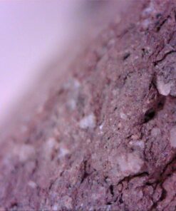 Vividia USB Digital Borescope Microscope with Professional Multi-Functional Metal Stand 12mm Diameter OTG Android and USB PC 31 71si64QmDfL