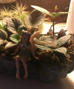 Miniature Fairy Garden Fairy Kimberly 3.25"H 4 71skKepuTVL