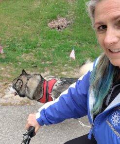 Springer Hands Free Dog Leash Bike Attachment Kit -Pet Exerciser for Running, Walking Jogging - Universal Fit for Bicycles - Quick Release, 18-Inch Rope 18 71slBrV7SbL